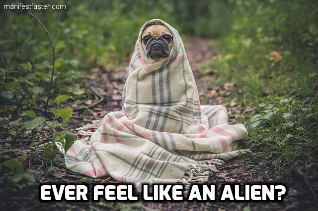 Ever Feel Like An Alien?  “I never quite fit in anywhere….”