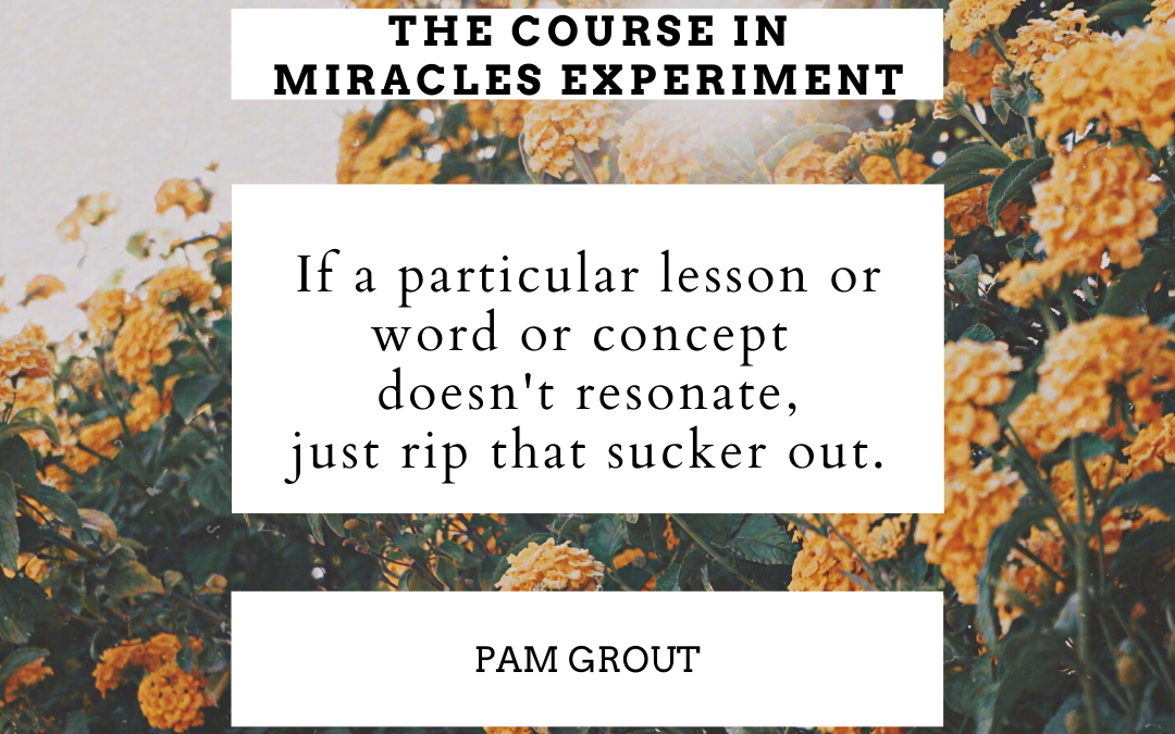Pam Grout And ACIM – Only Do What Is Fun? Who does the un-fun stuff then???